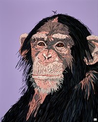 Cheeky Chimp II on Purple by Dylan Izaak - Original Painting on Aluminium sized 40x50 inches. Available from Whitewall Galleries